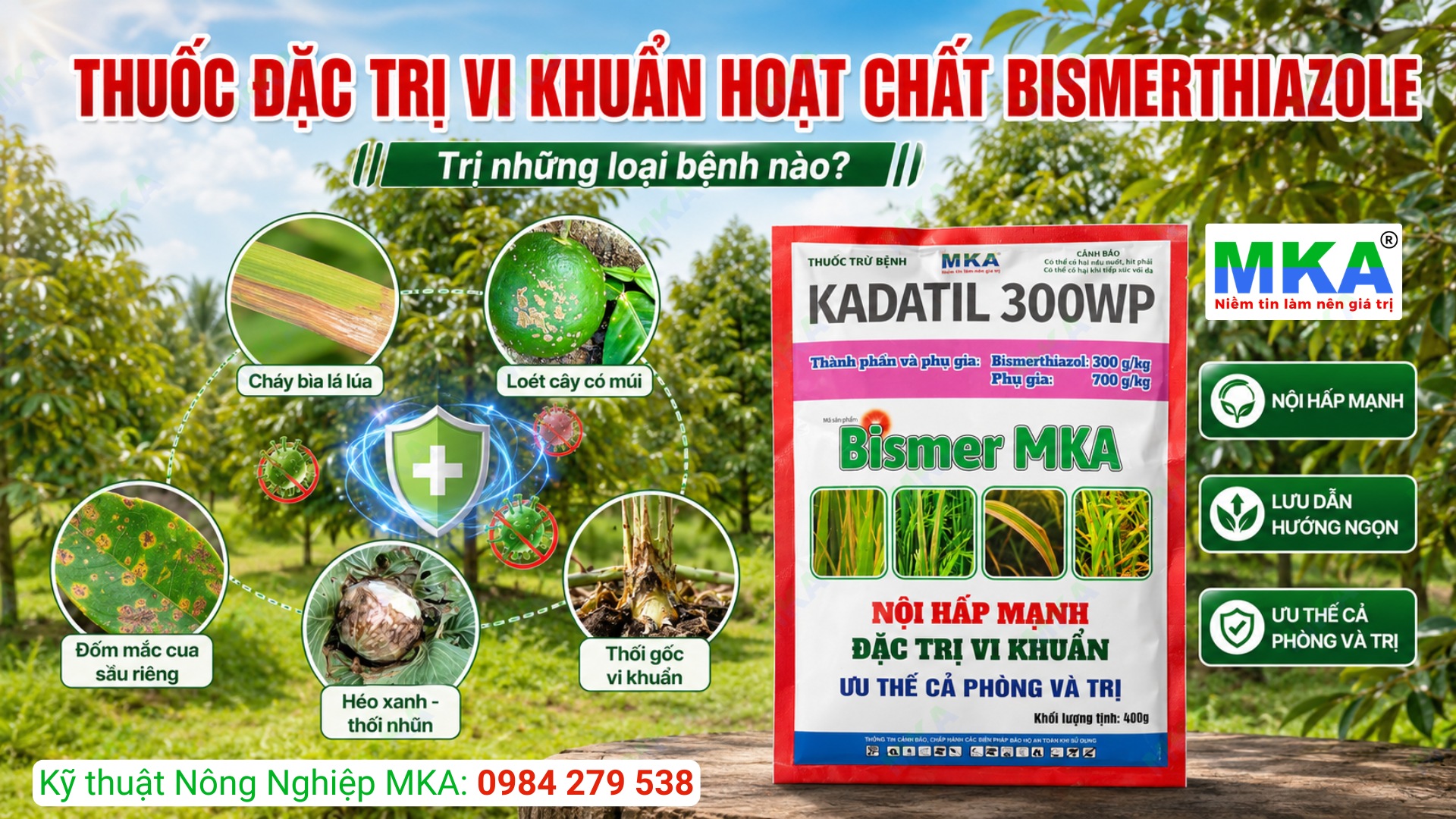 Thuốc đặc trị vi khuẩn hoạt chất Bismerthiazol trị bệnh gì?